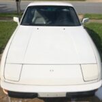 Profile picture of Gizmo